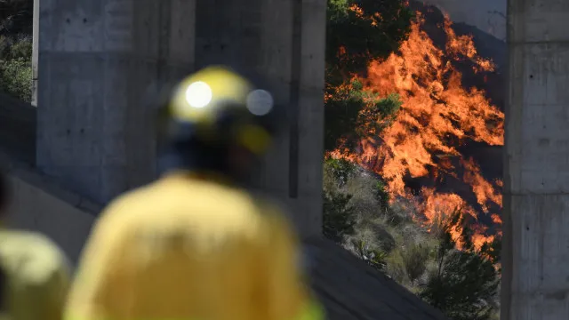 Europa volta a enfrentar calor extremo. Há fruta "queimada" e incêndios