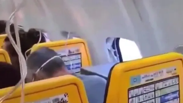 
                    Os 