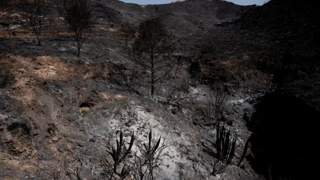 IncÃªndios em FranÃ§a obrigam Ã  retirada de mil pessoas