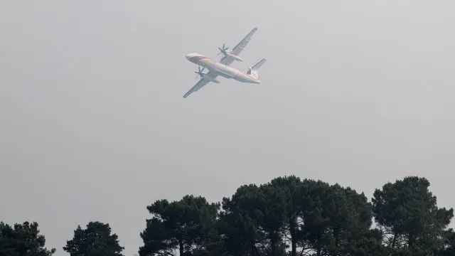 Paris. IncÃªndio devasta floresta e corta trÃ¡fego rodoviÃ¡rio e ferroviÃ¡rio
