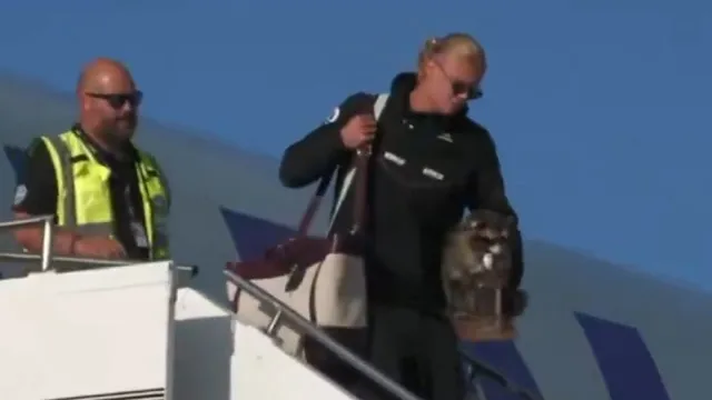 
                    Erling Haaland regressou à Noruega e trouxe presente que saltou à vista
                