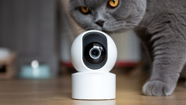 Casa inteligente? Os 5 gadgets que não deve ligar à rede Wi-Fi