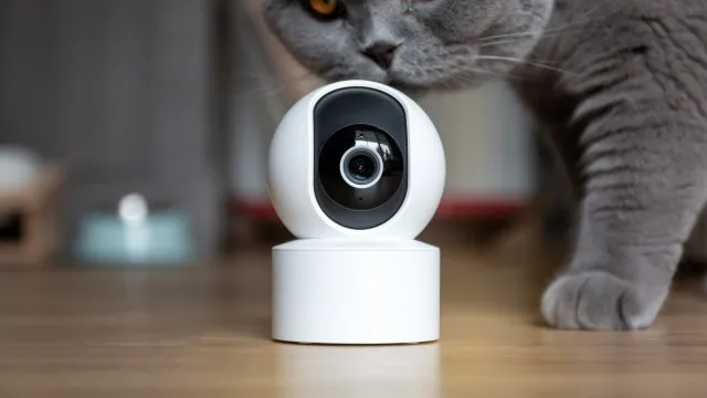 Casa inteligente? Os 5 gadgets que não deve ligar à rede Wi-Fi