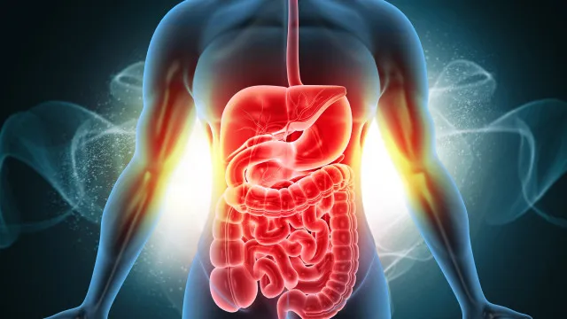Massa ou arroz? Eis o melhor para a saÃºde digestiva, segundo mÃ©dicos