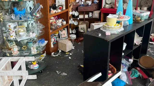
                    Veado invade loja de antiguidades nos EUA: As imagens... dos estragos
                