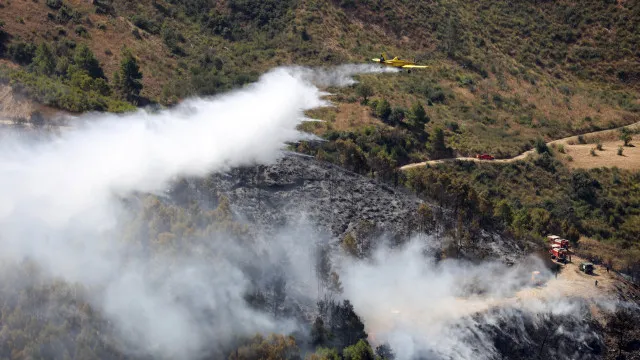 Pelo menos 11 crianÃ§as morreram num incÃªndio num orfanato na ArgÃ©lia