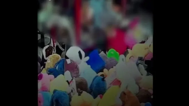 Brasil: Menino entra em mÃ¡quina de garras e retira 8 peluches em shopping