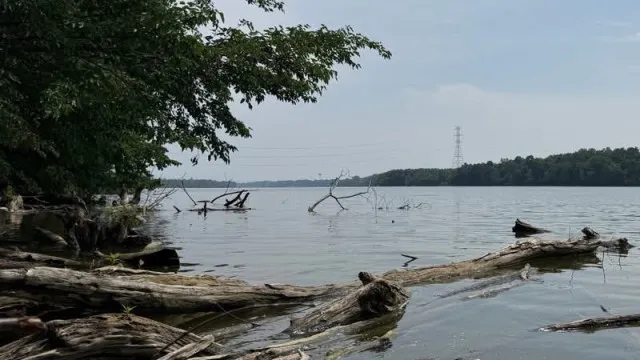 Cinco pessoas morreram ao tentar salvar nadador num rio do Ohio