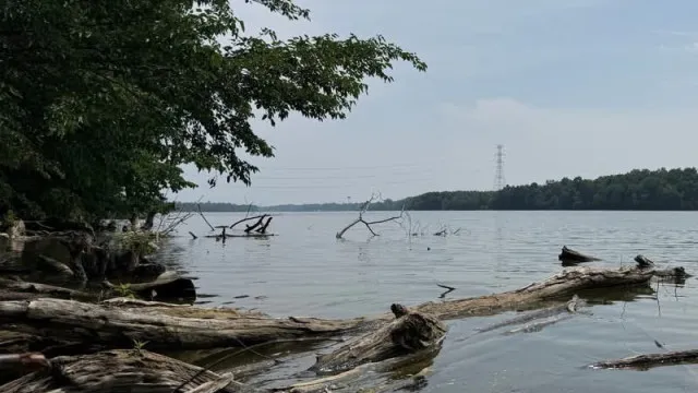 Cinco pessoas morreram ao tentar salvar nadador num rio do Ohio