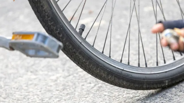 
                    Ciclista atacada em Vagos. O que se sabe do violador da Gafanha do Areão?
                