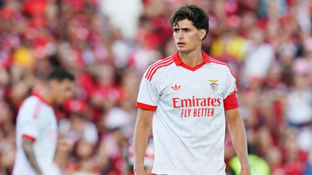 António Silva já tem acordo com Bournemouth. Benfica fixa prazo de venda