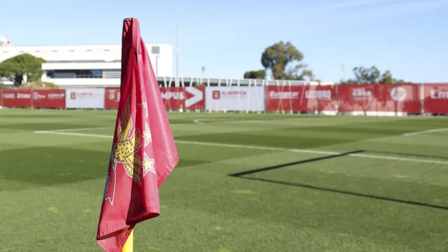 Benfica lança instituto para partilhar métodos, inovação e conhecimento