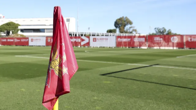 Benfica lança instituto para partilhar métodos, inovação e conhecimento