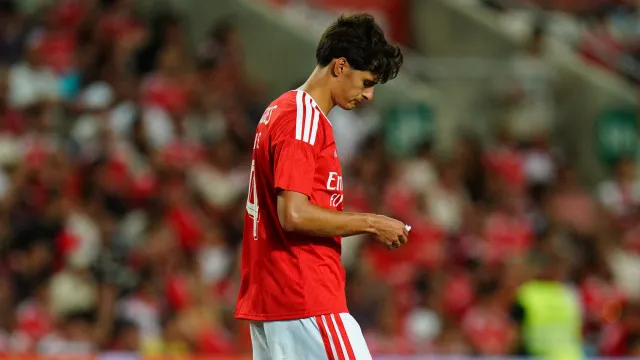 
                    António Silva despede-se no Benfica-St. Gallen e já há plano de sucessão
                