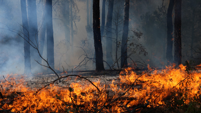 Fogos em Penafiel e Vila Verde controlados, Guarda preocupa. Há 7 feridos