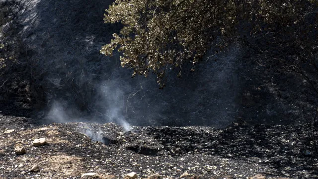 
                    Espanha alarga estado de emergência devido a incêndios a Toledo
                