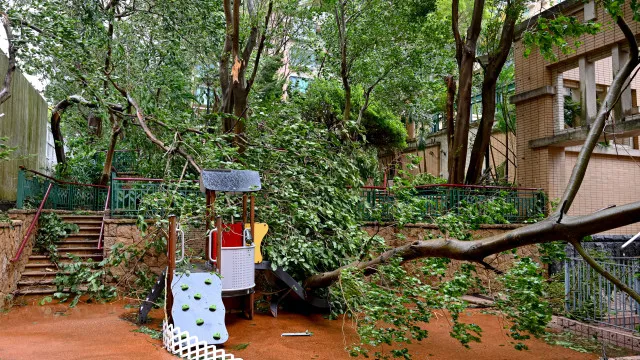 
                    Sudeste da China em alerta máximo devido à chegada do tufão Noul
                