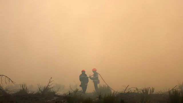 
                    Mais 55 mil pessoas retiradas no sudoeste de França devidos aos incêndios
                
