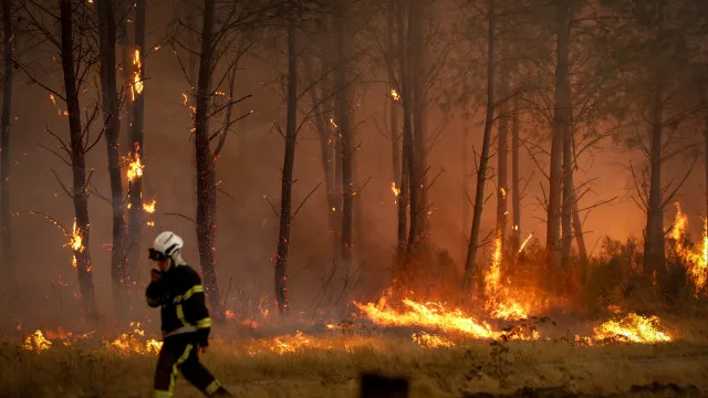 
                    Cerca de 3 mil portugueses residem na área do fogo em França
                