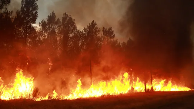 
                    Portugueses na rota do fogo em França: MNE recebeu dois pedidos de ajuda
                