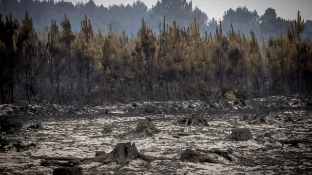 Enclosure