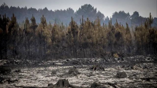 Grande incÃªndio perto de BordÃ©us manteve-se estÃ¡vel durante a noite