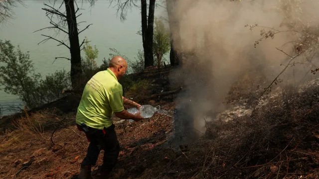 Espanha mais perto de "vencer o fogo" em Madrid e Ã vila