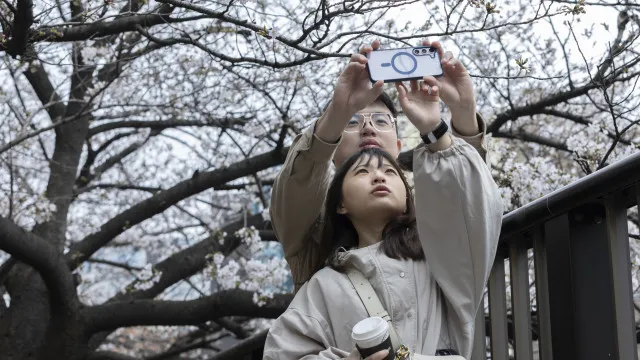 JapÃ£o. App de encontros com IA resultou em 265 casamentos