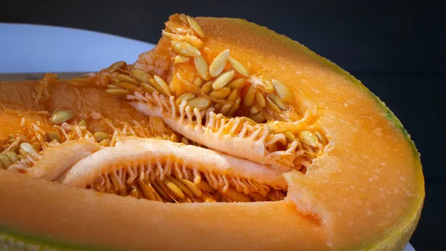 O melÃ£o transforma-se em cortiÃ§a ao beber Ã¡gua? Eis o que diz a ciÃªncia