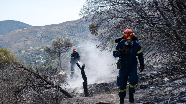
                    Dois bombeiros morrem a combater fogo na ilha grega de Creta
                