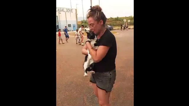 Fogos em Espanha: JÃºlia pÃ'de retirar cadela, mas gata nÃ£o. O reencontro