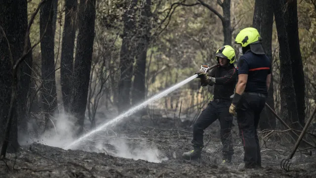 "Muitos portugueses" perderam casa e negócio em França após incêndios