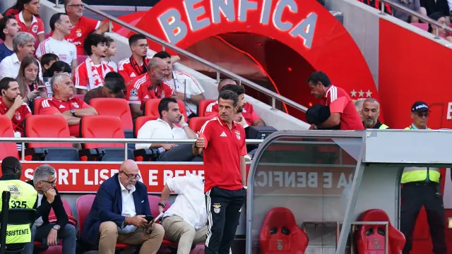 Sem baixas de peso. O onze decisivo de Marco Silva no Benfica-St. Gallen