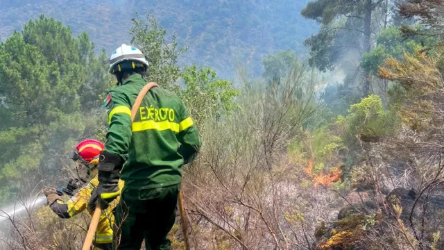 
                    Mais de 30 patrulhas militares apoiam combate aos incêndios: As imagens
                