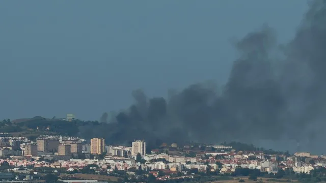 IncÃªndio em zona de mato em Vialonga, "sem danos". Veja as imagens