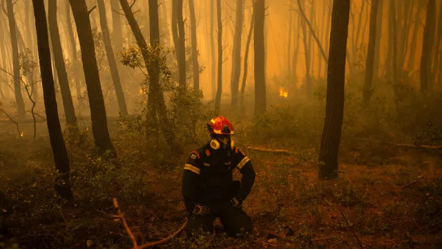 
                    Autarca de Ponta Delgada defende financiamento partilhado para bombeiros
                