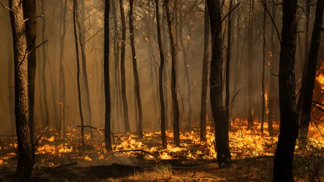 
                    Fogo em Vila Franca de Xira em fase de resolução às 00h00 de hoje
                