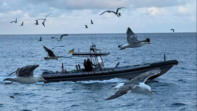 PolÃcia MarÃtima apreende 1.620 quilos de pescado em Aveiro