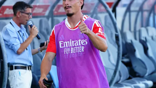 
                    Não é só António Silva. Ivanovic muito perto de deixar o Benfica
                