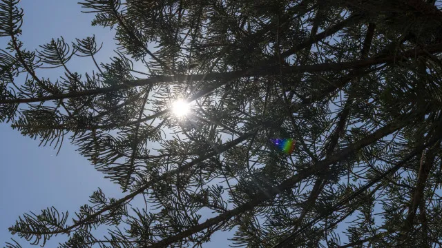 
                    IPMA mantém aviso amarelo para Faro devido às temperaturas elevadas
                