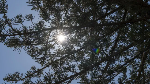 Calor e poluição matam milhares de pessoas por ano, diz relatório