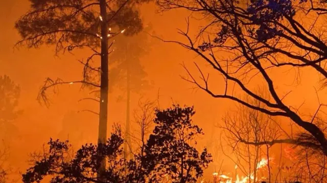 
                    Fogo em Valpaços teve 