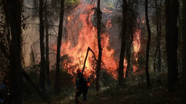 Interior Norte e Centro e Algarve volta a ter concelhos em perigo mÃ¡ximo