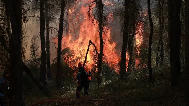 
                    Autarca de Torre de Moncorvo espera ter fogo dominado durante a noite
                