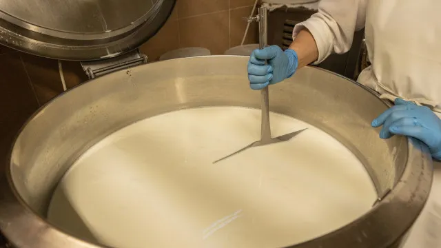 Morreu rapaz que esteve 9 anos em estado vegetativo apÃ³s comer queijo