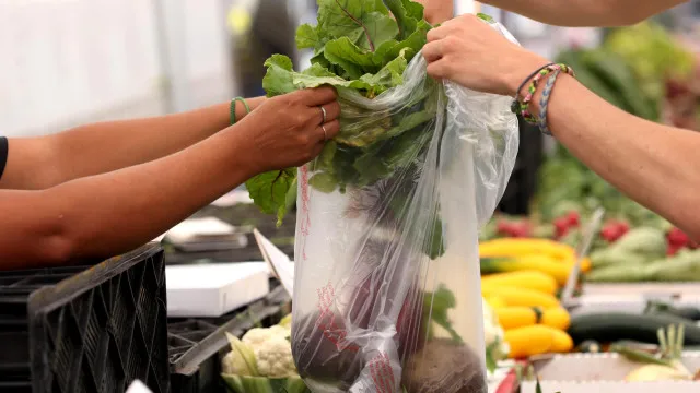 
                    Surto de infeções intestinais faz as duas primeiras mortes nos EUA
                