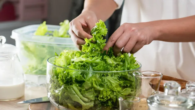 
                    Surto de ciclosporíase. Comer alface pode causar 