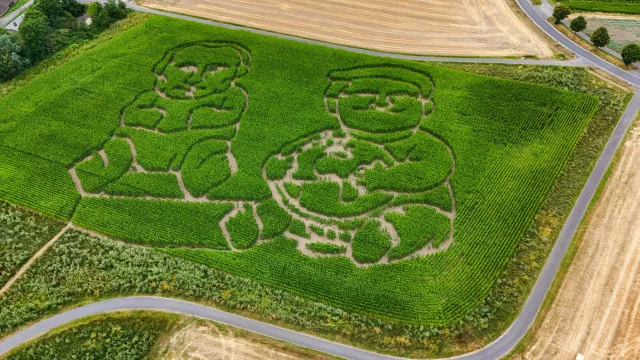 Agricultor alemÃ£o esculpe Putin e Trump de fralda num campo de milho