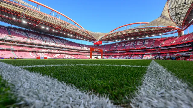 Benfica-AcadÃ©mico de Viseu: Ã guia saÃºda regresso... sem emoÃ§Ã£o na bancada