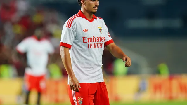 
                    Benfica limpa casa e futuro de Ivanovic e Gouveia pode passar pela Europa
                
